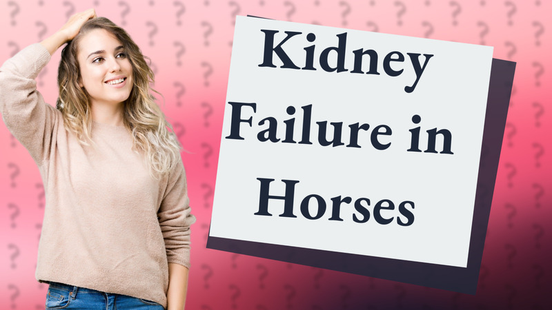 Kidney Failure in Horses