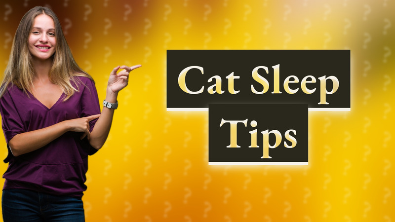 Cat Sleep Tips