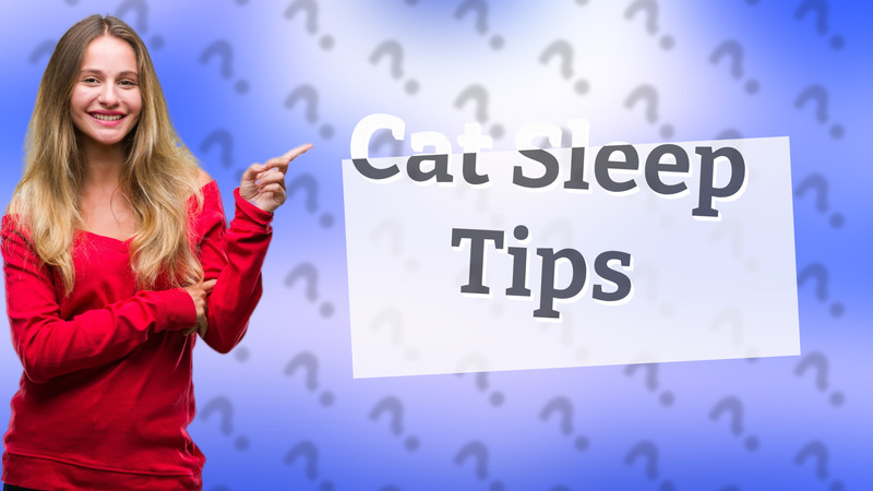 Cat Sleep Tips