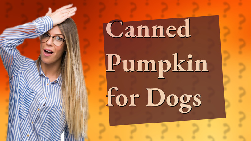 Canned Pumpkin for Dogs