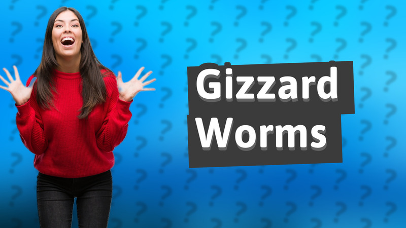 Gizzard Worms