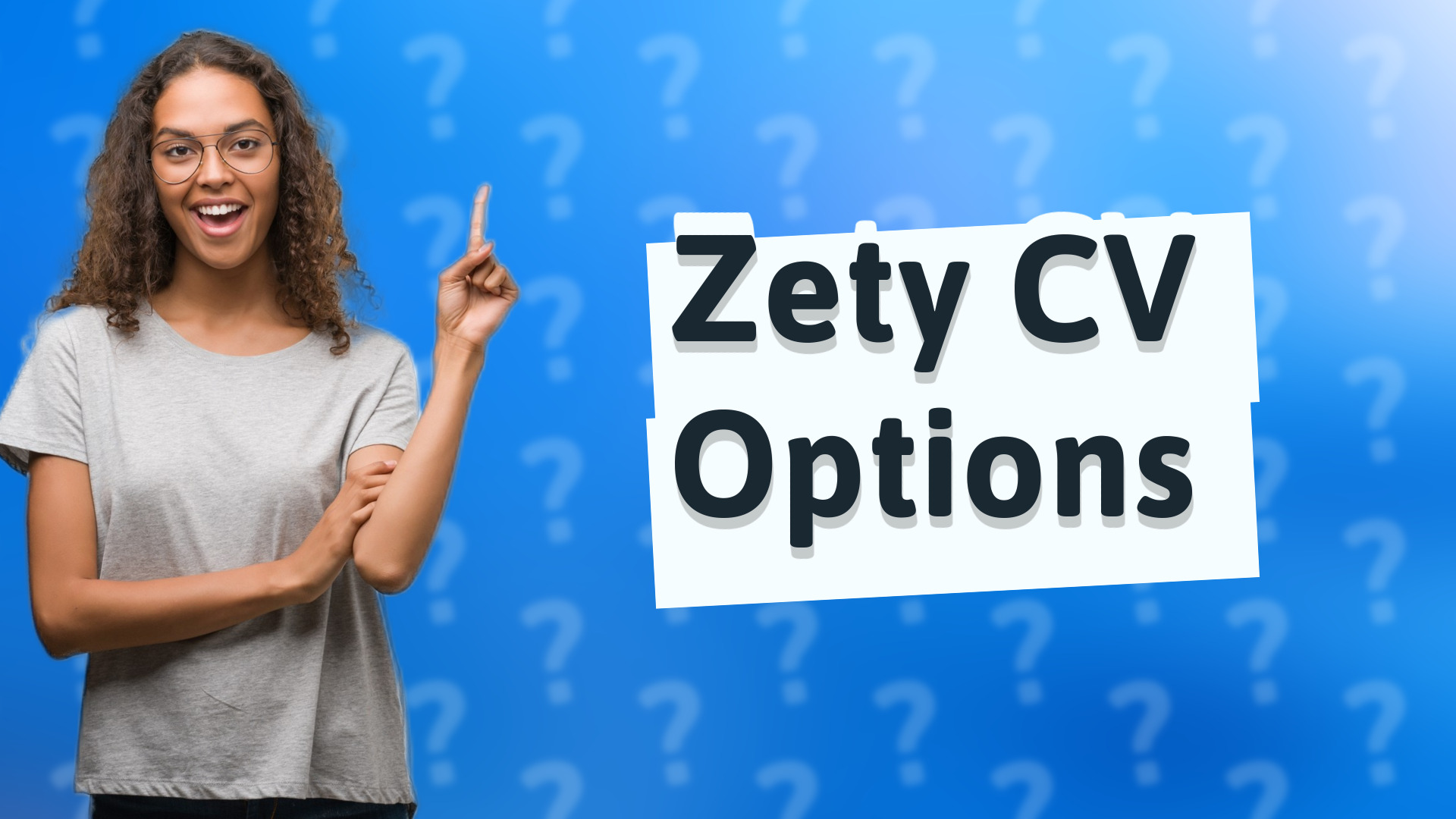 Zety CV Options