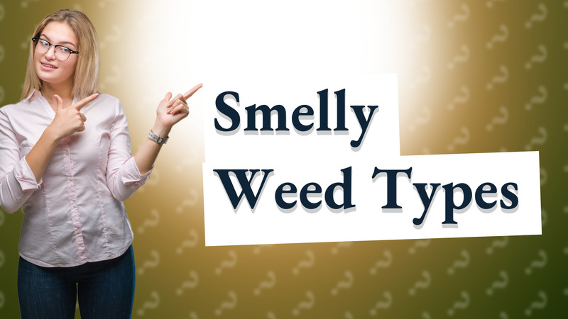 Smelly Weed Types