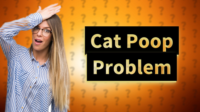 Cat Poop Problem