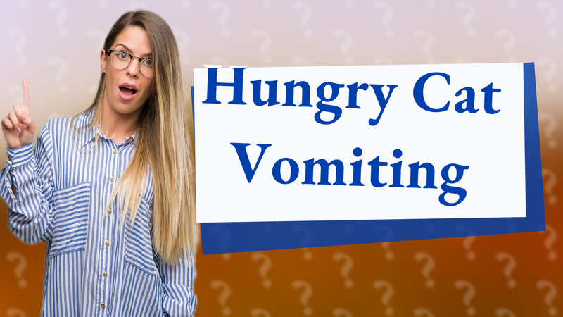 Hungry Cat Vomiting