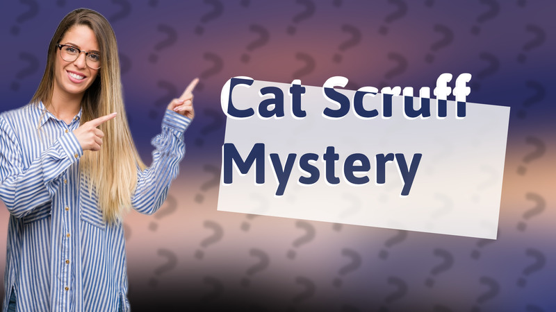 Cat Scruff Mystery