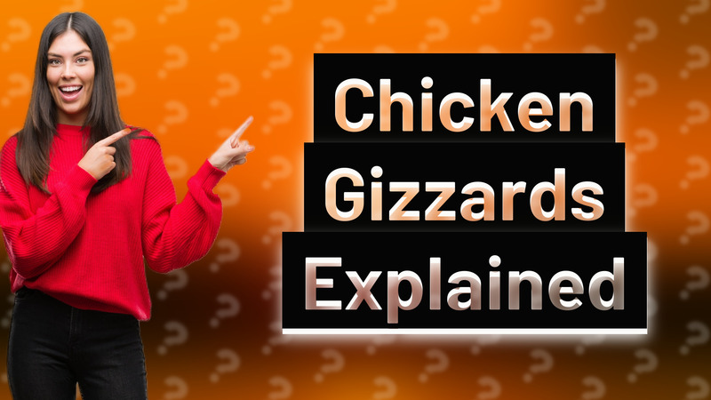 Chicken Gizzards Explained