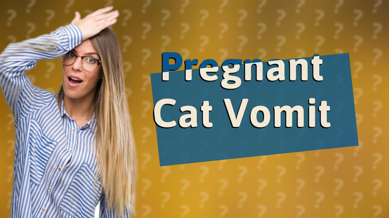 Pregnant Cat Vomit