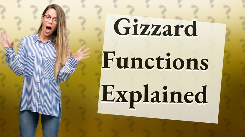 Gizzard Functions Explained