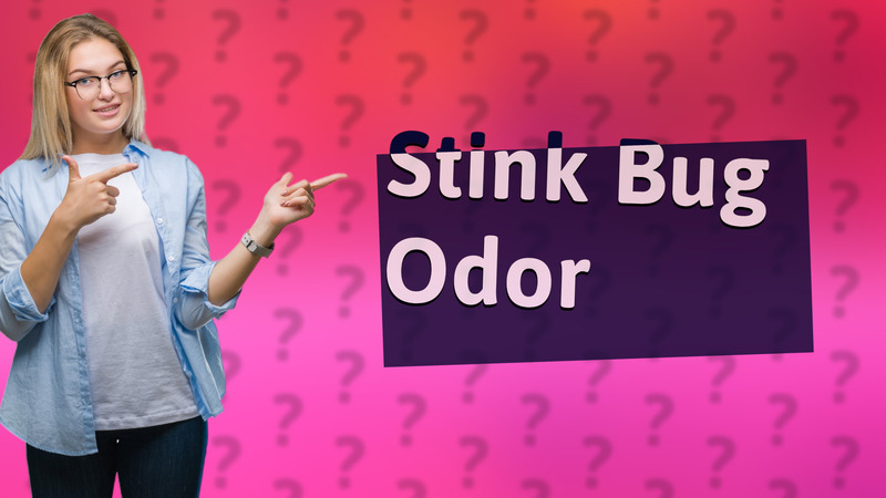 Stink Bug Odor