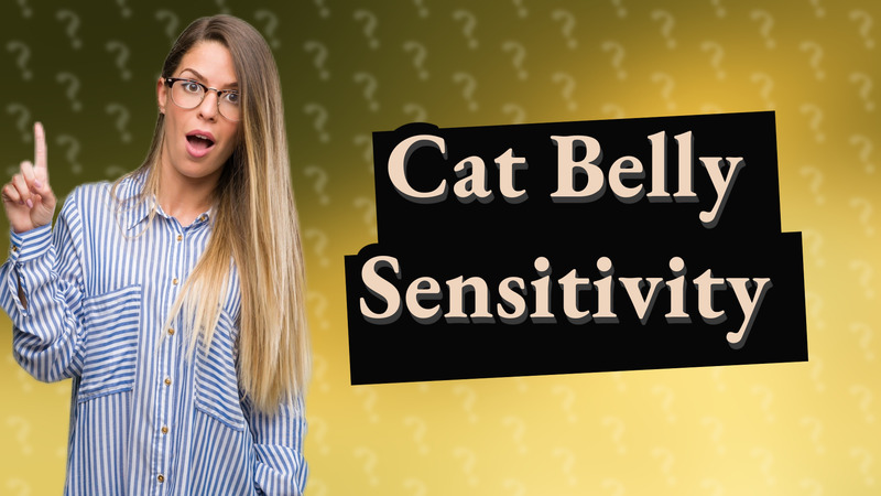 Cat Belly Sensitivity
