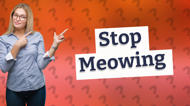 Stop Meowing