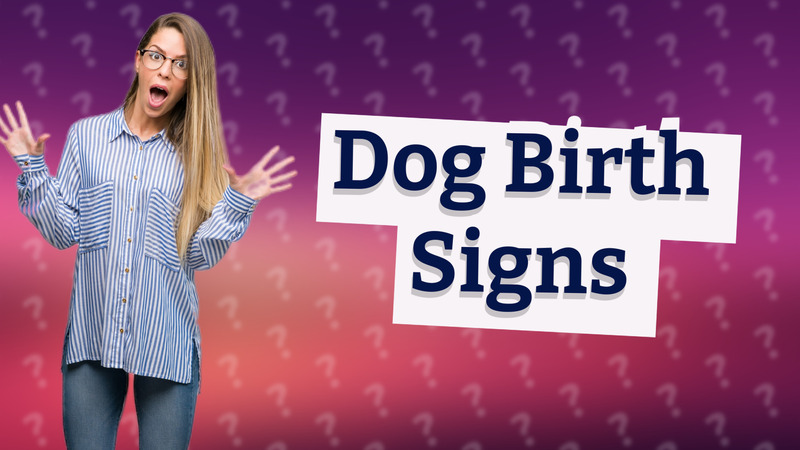 Dog Birth Signs