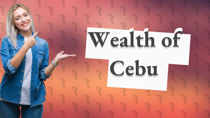Wealth of Cebu