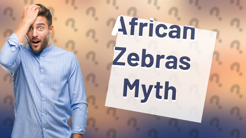 African Zebras Myth