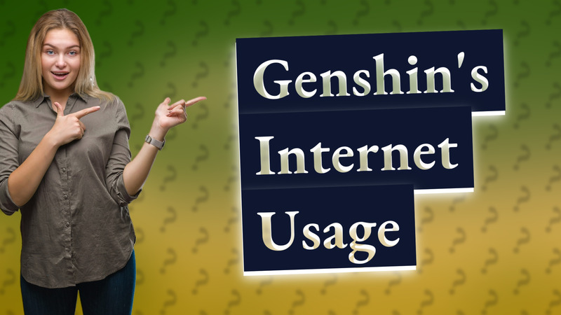 Genshin's Internet Usage
