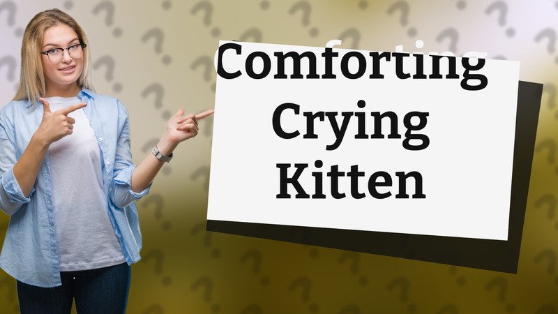 Comforting Crying Kitten