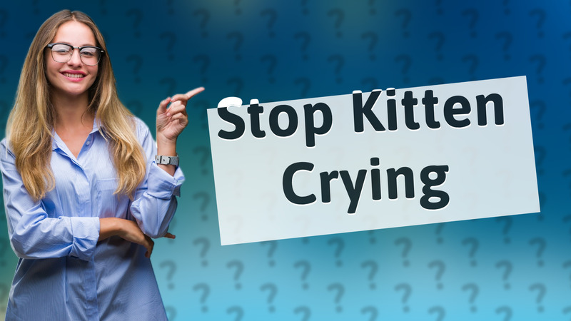 Stop Kitten Crying