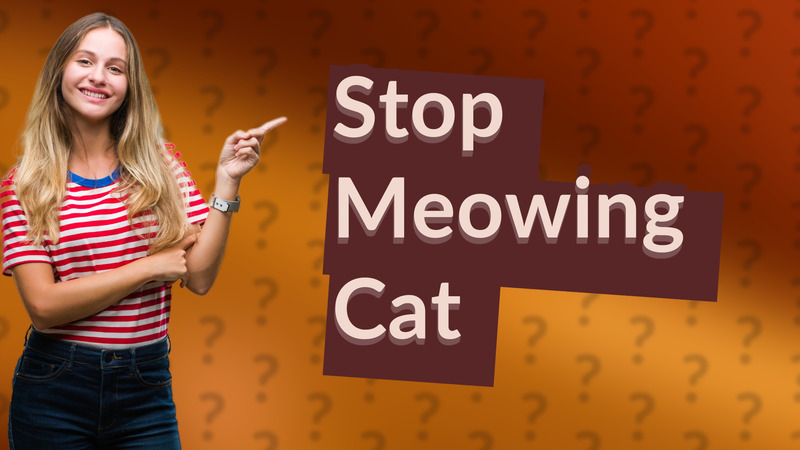 Stop Meowing Cat
