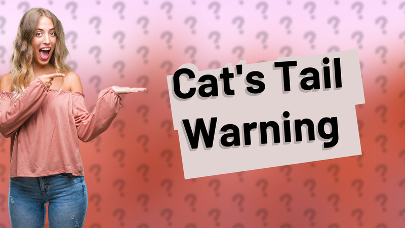 Cat's Tail Warning
