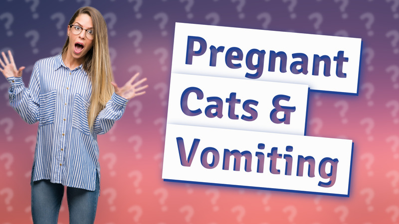 Pregnant Cats & Vomiting