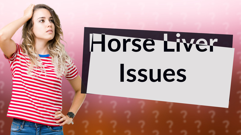 Horse Liver Issues