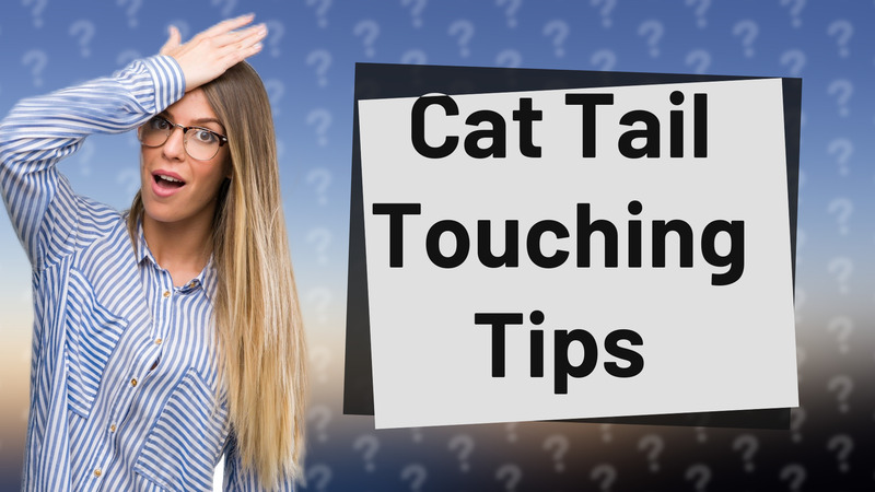 Cat Tail Touching Tips