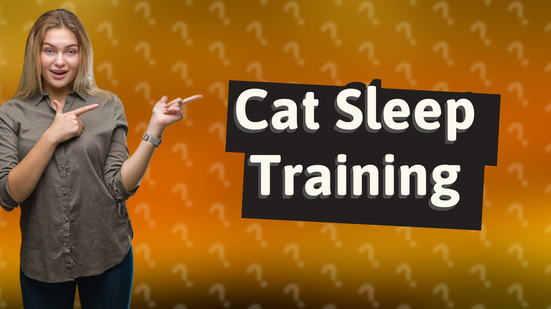 Cat Sleep Training