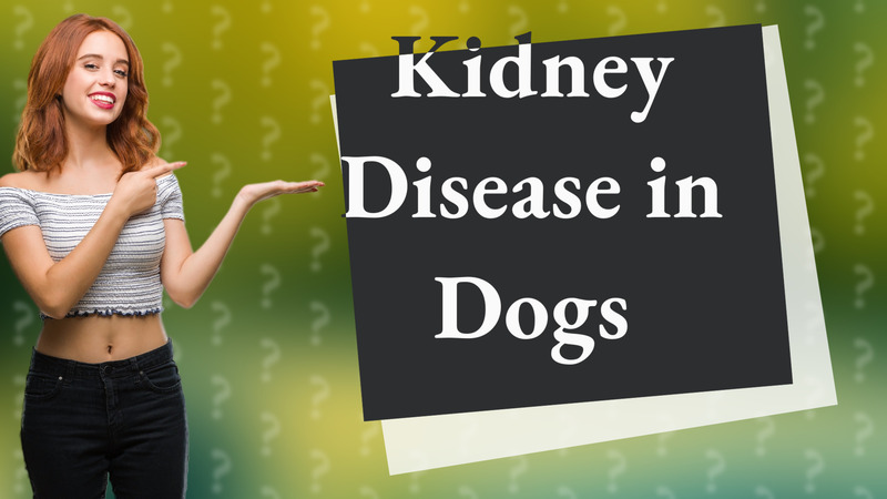 Kidney Disease in Dogs