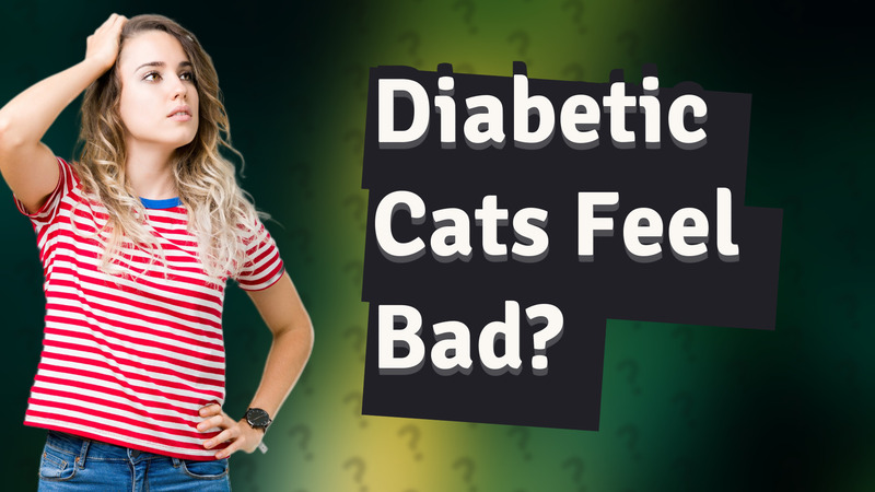 Diabetic Cats Feel Bad?