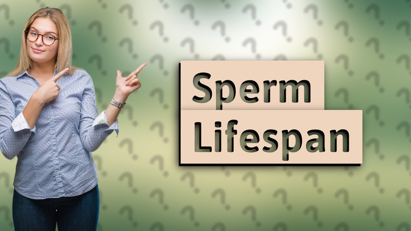 Sperm Lifespan