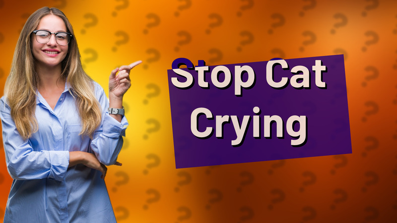 Stop Cat Crying