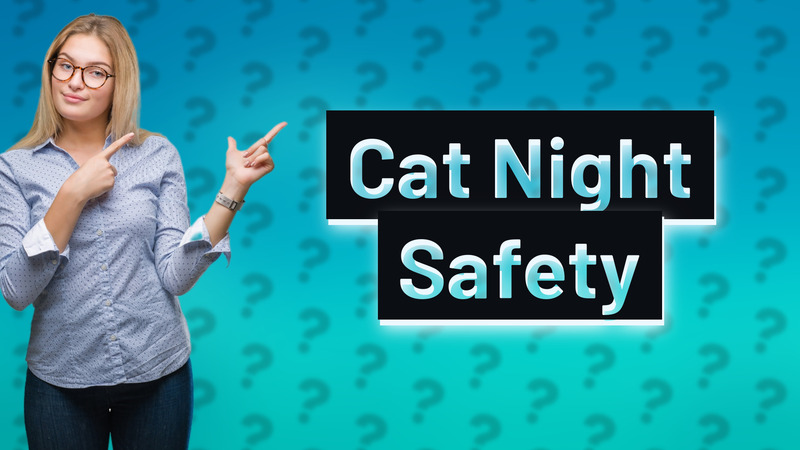 Cat Night Safety