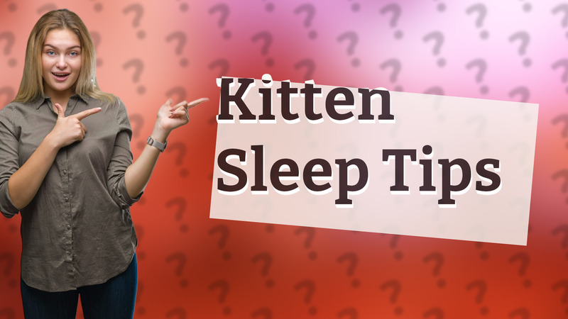 Kitten Sleep Tips