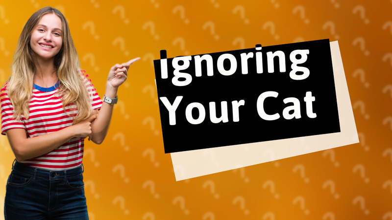 Ignoring Your Cat