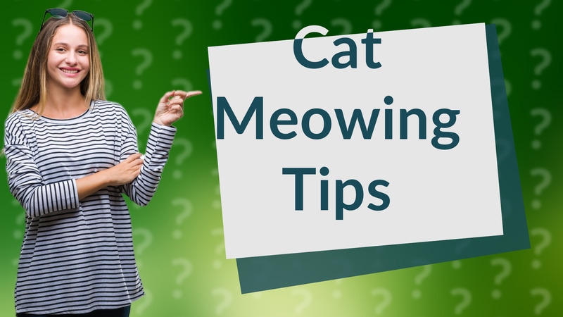 Cat Meowing Tips