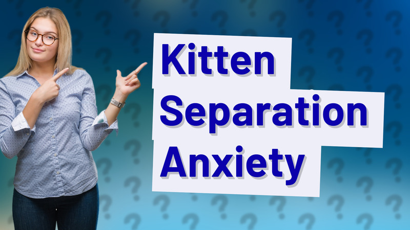 Kitten Separation Anxiety