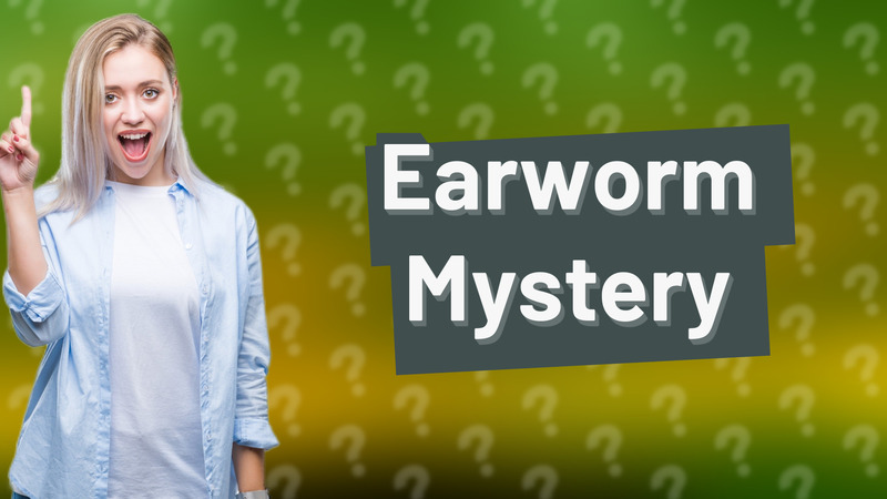 Earworm Mystery