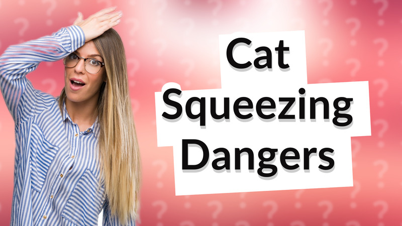 Cat Squeezing Dangers