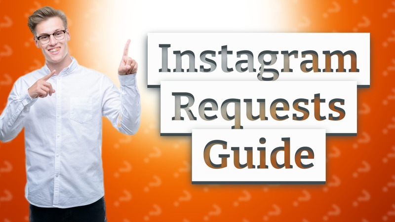 Instagram Requests Guide