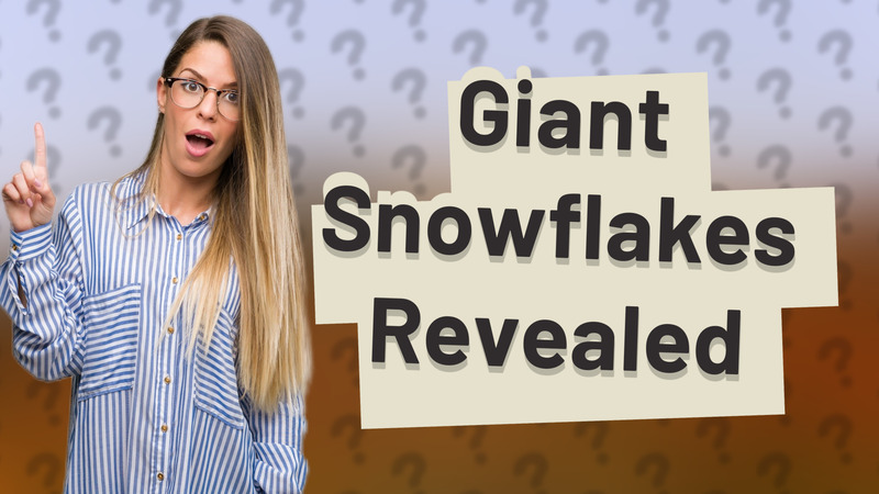 Giant Snowflakes Revealed