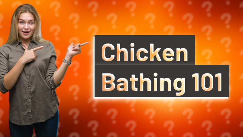 Chicken Bathing 101