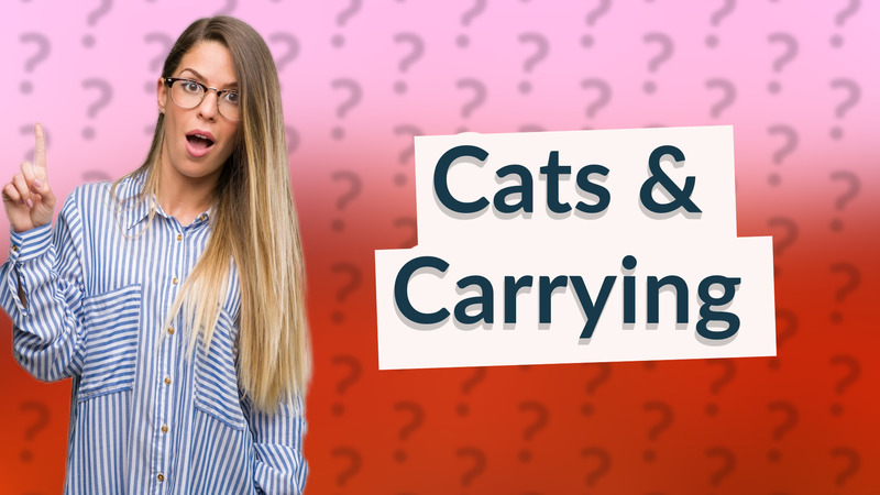 Cats & Carrying