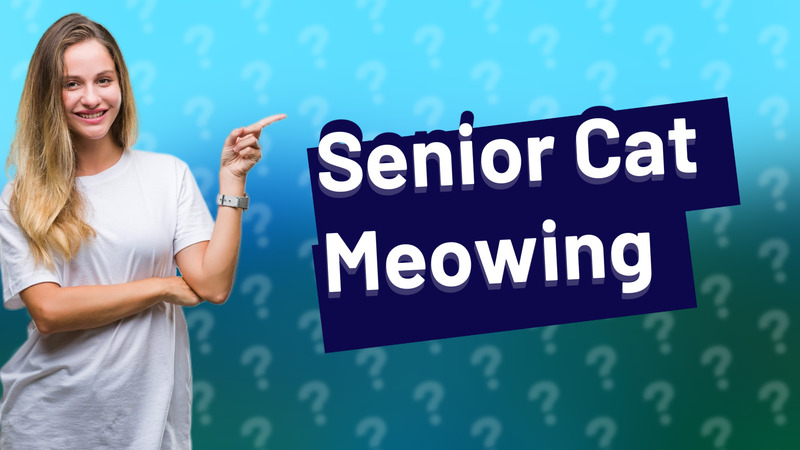 Senior Cat Meowing