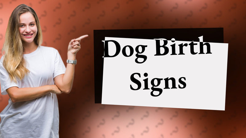 Dog Birth Signs