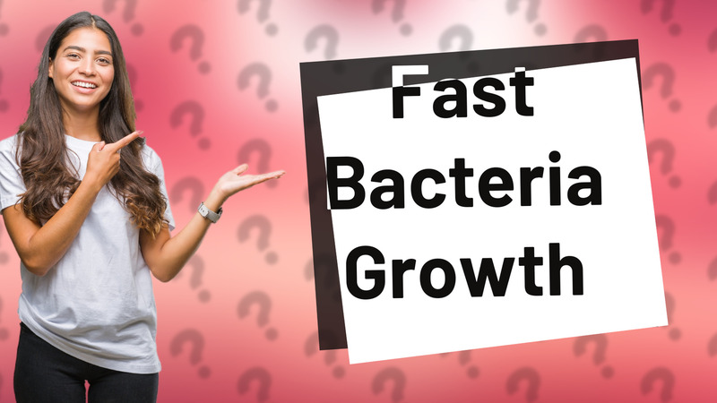 Fast Bacteria Growth