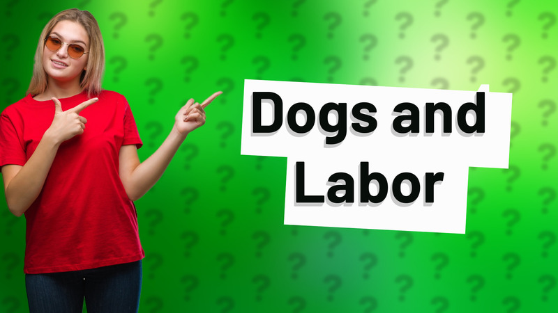 Dogs and Labor