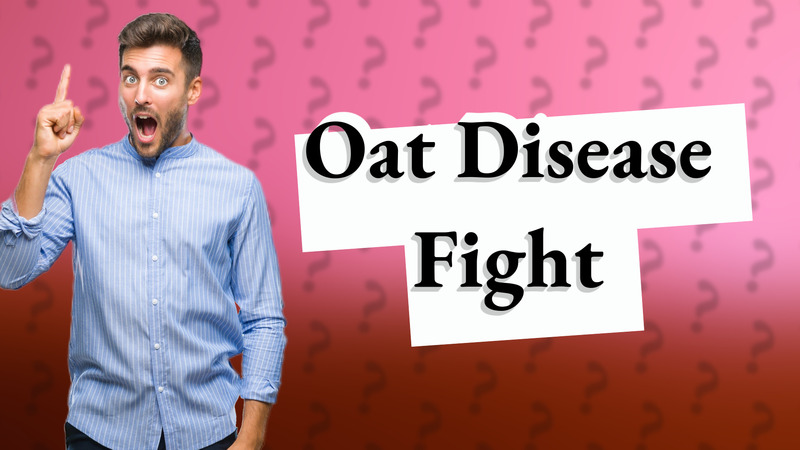 Oat Disease Fight