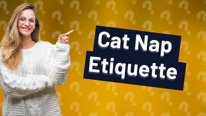 Cat Nap Etiquette