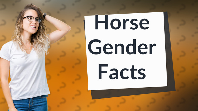 Horse Gender Facts